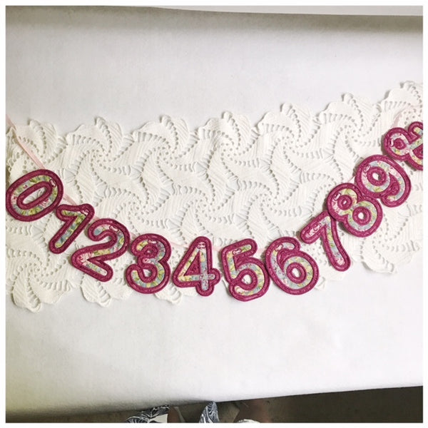 machine embroidery in the hoop number set pattern